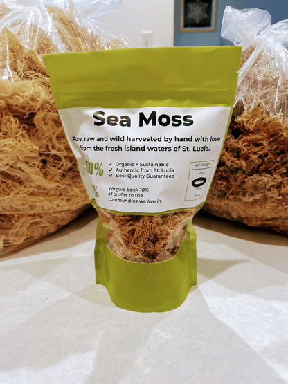 Retail FULL SPECTRUM Raw Natural Sea Moss from St. Lucia | Wildcrafted | Superfood